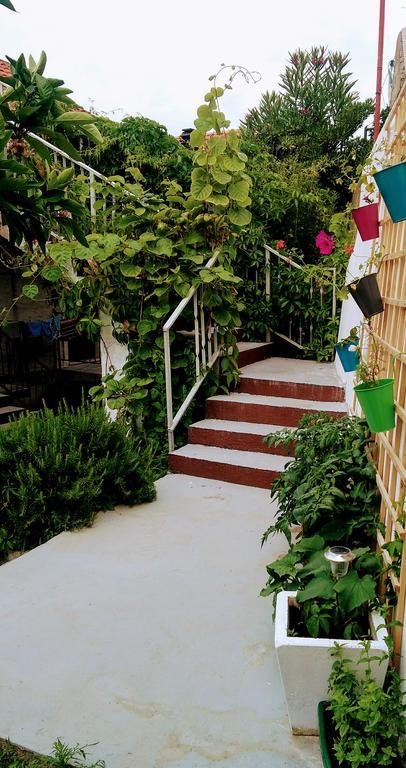 Sofia'S Way Apartments 젤사 외부 사진